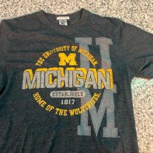 Michigan Wolverines Graphic Tee - Dark Gray and Yellow